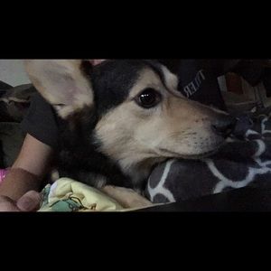 Meet your Posher, Myranda